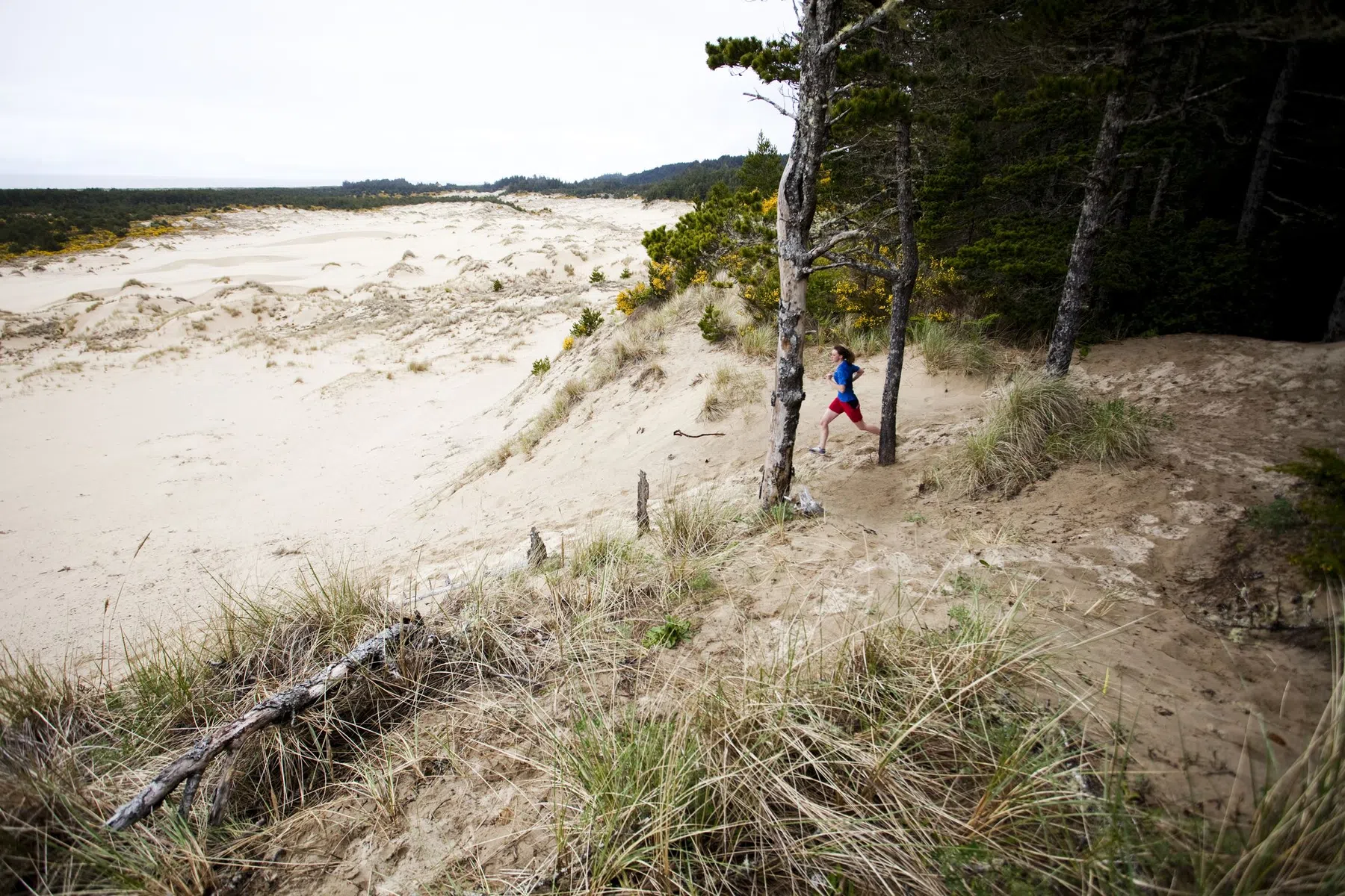 hardlopen-door-duinen.jpg