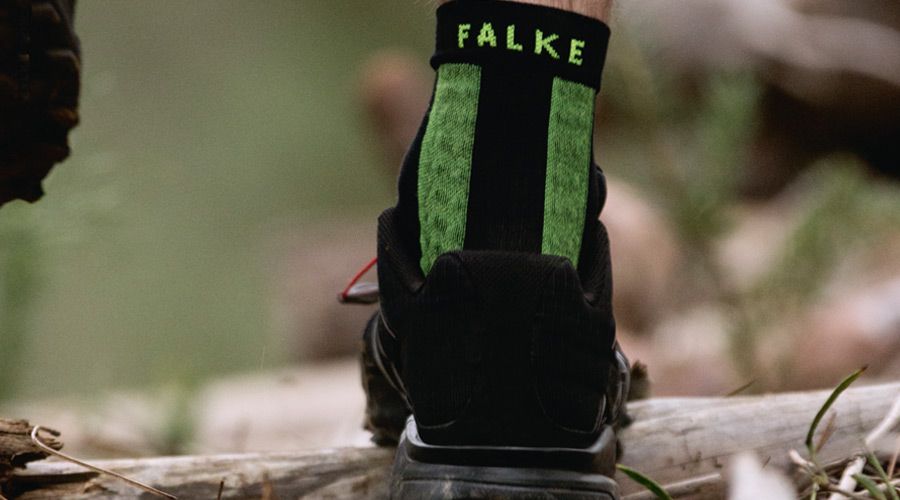 735d6dbc-7dd0-4c38-a76f-5b11d4c05cfe_falke_9001.jpg