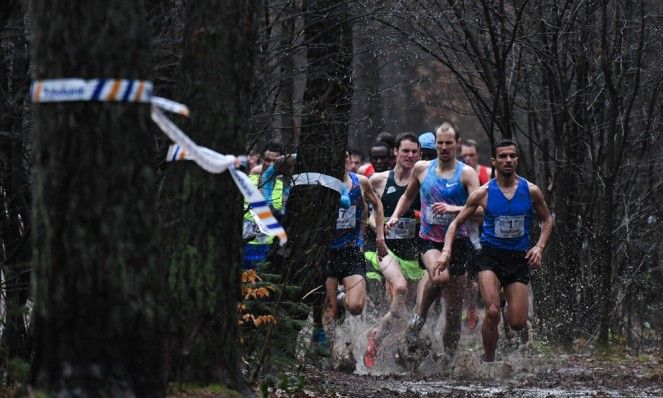 CROSS-663x398.jpg