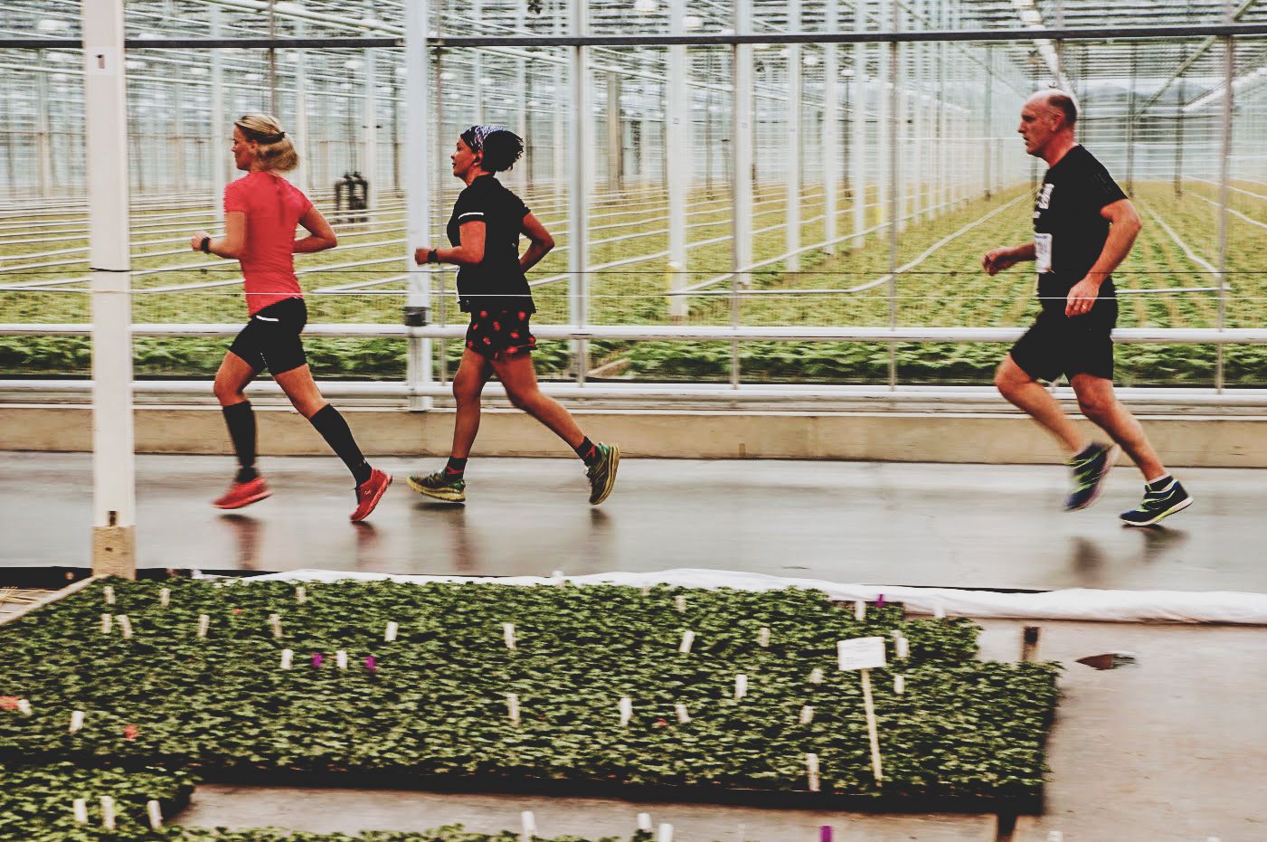 Kassenloop 3.JPG