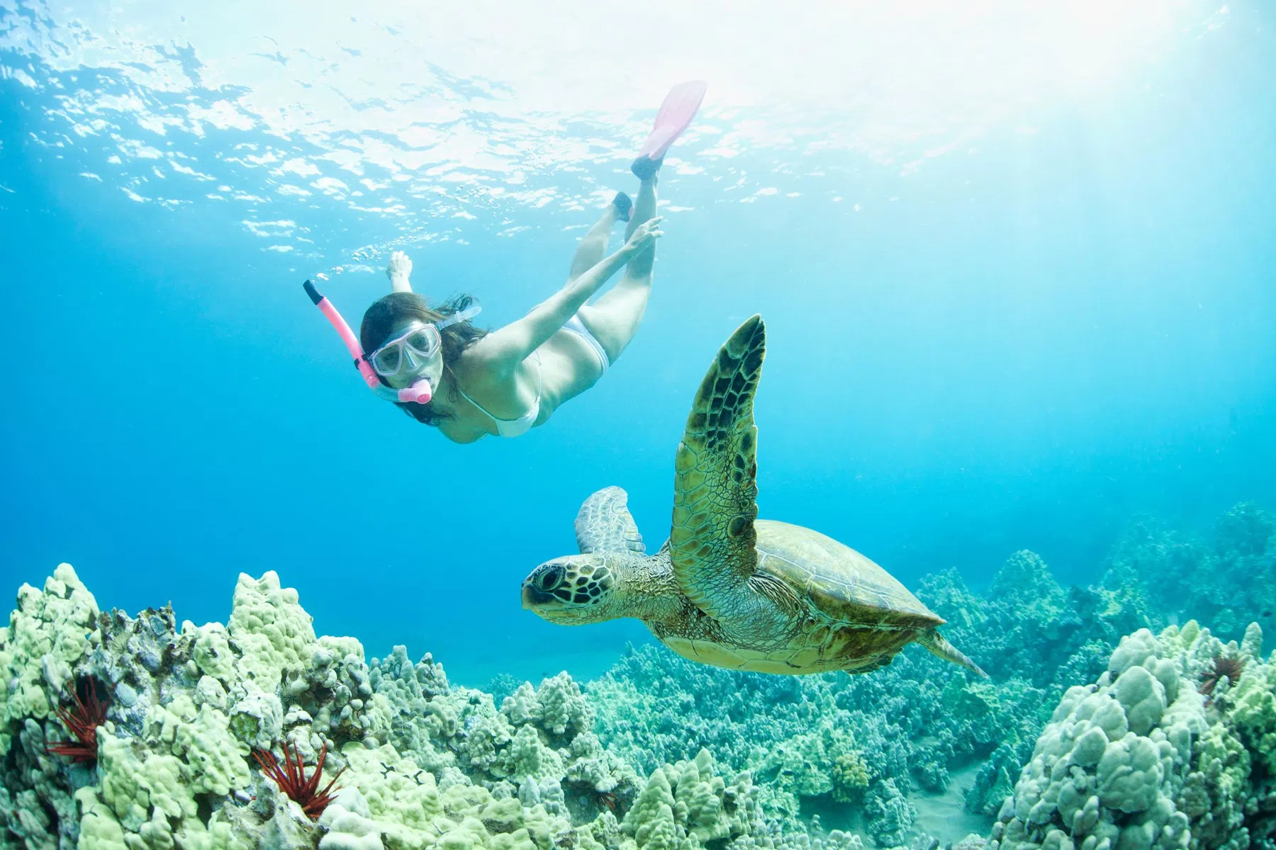 afvallen vakantie calorieen verbranden met snorkelen.jpg