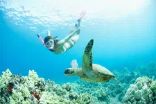Thumbnail for article: 13 leuke én actieve dingen die je kunt doen op vakantie
