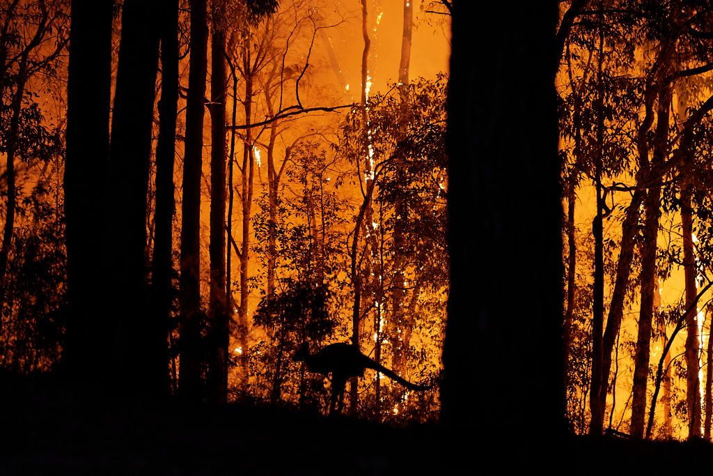 australie-doneren-brand-hardlopen-actie-sporters.jpg