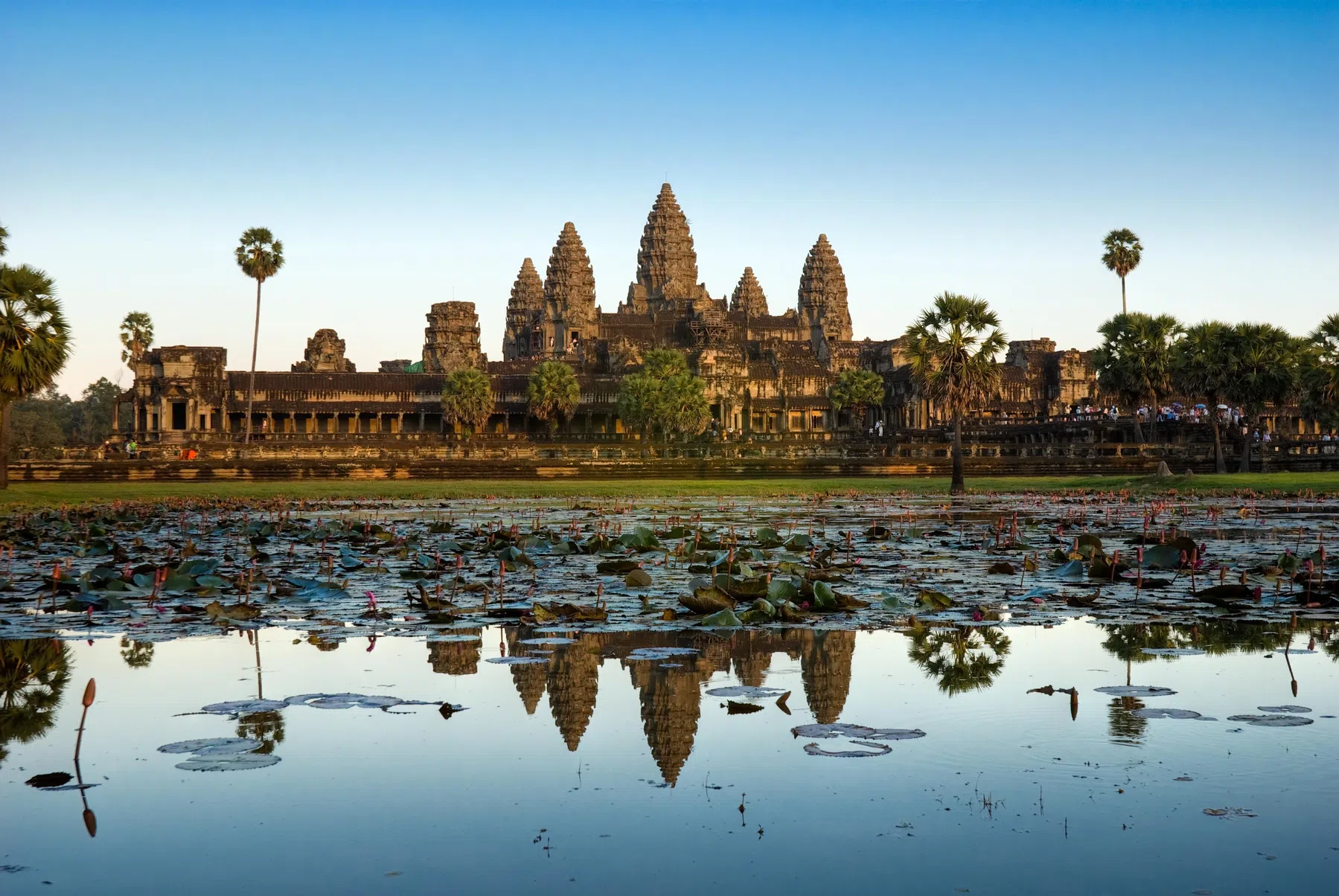 angkor-watt-halve-marathon.jpg