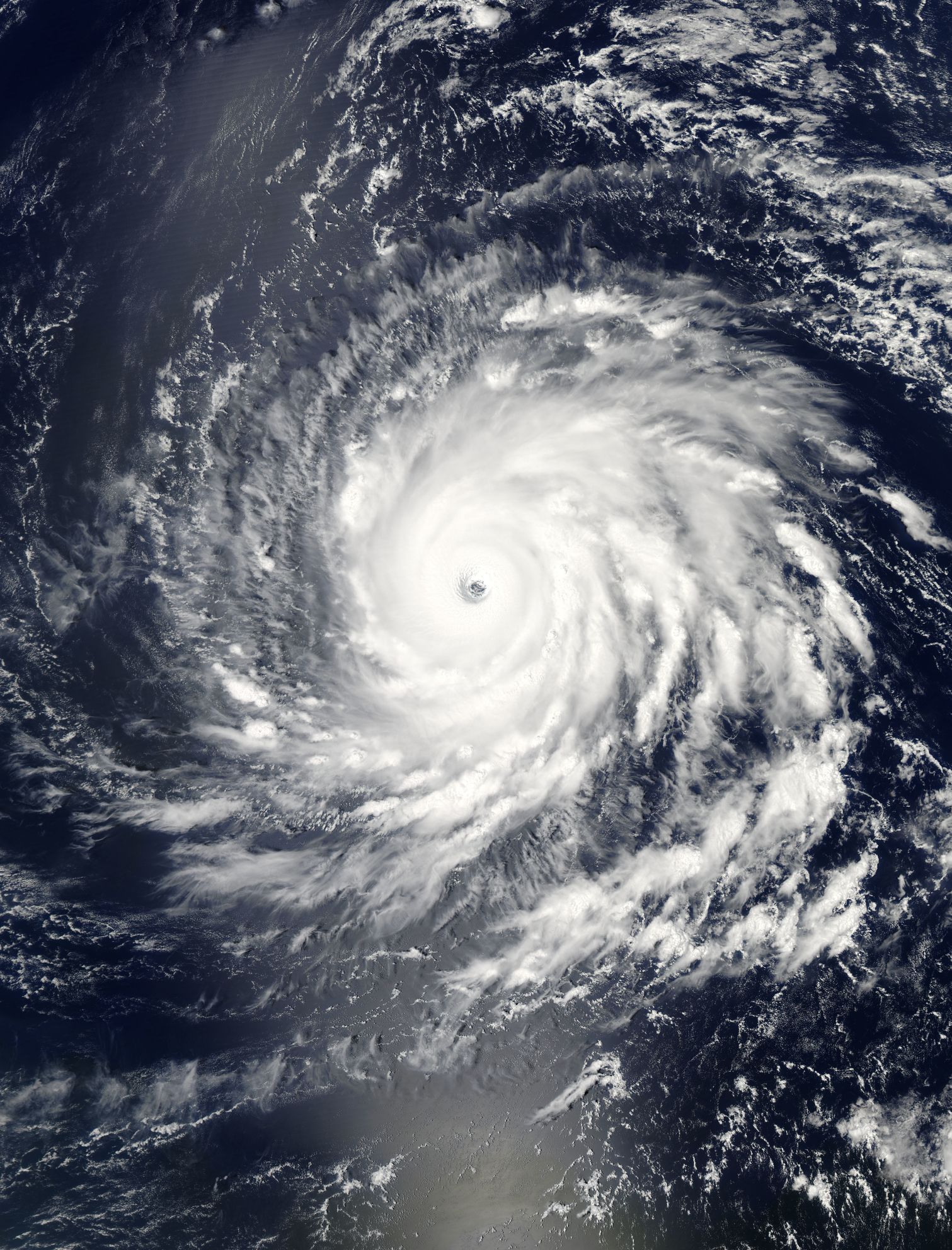 storm-nederland-ciara-hardlopen-februari-2020.jpg