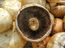 Thumbnail for article: Deze 7 voedingsmiddelen zitten vol vitamine D