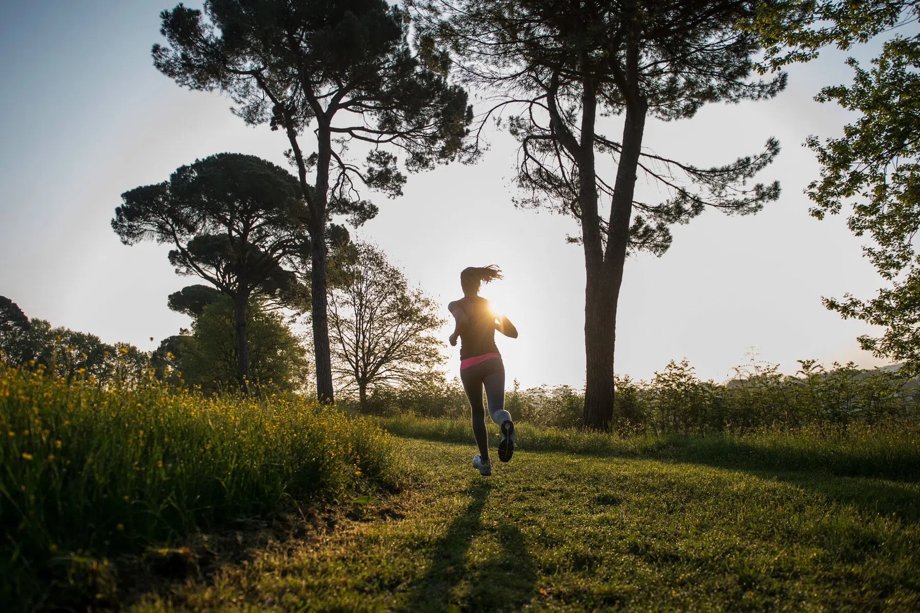 coronasolo5k.jpg