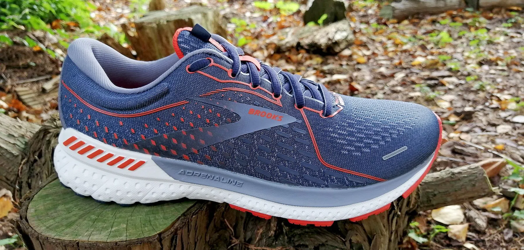 Brooks Adrenaline GTS 21 - 222.jpg