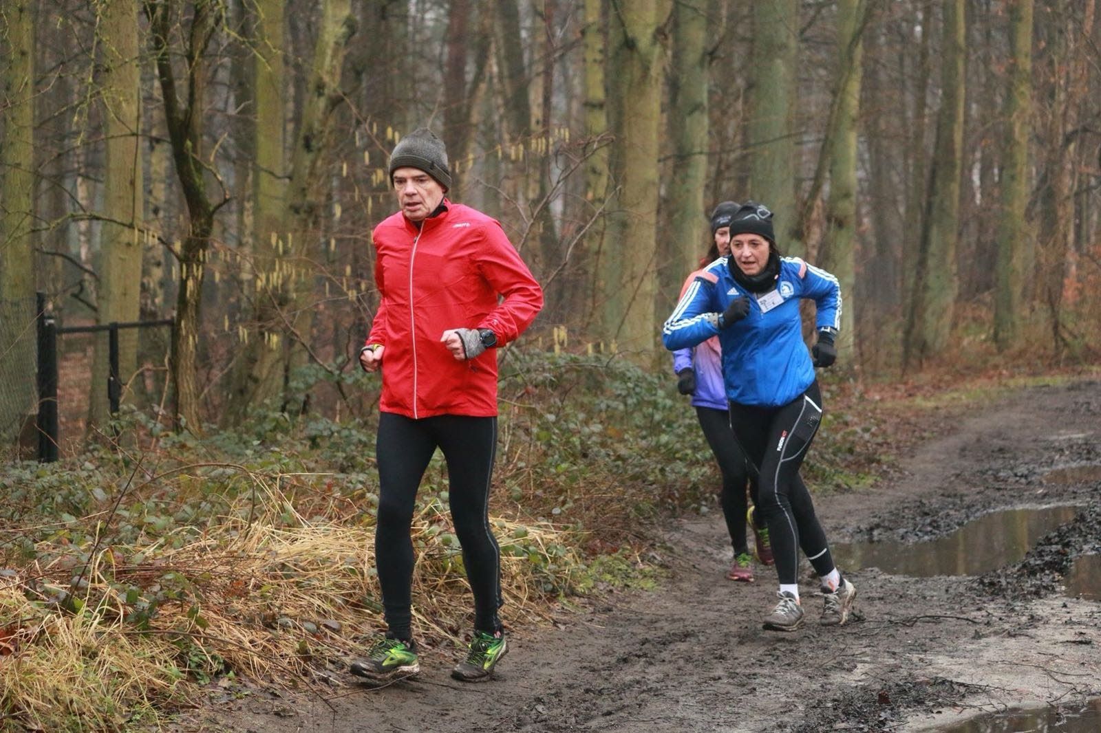 Natuurloop Brasschaat.jpg