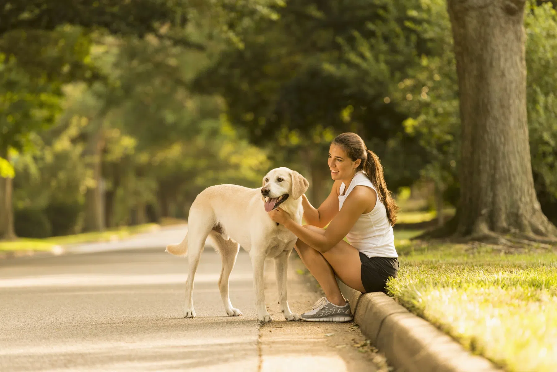 hardlopen-met-hond-riem-heup-band-tuigje.jpg