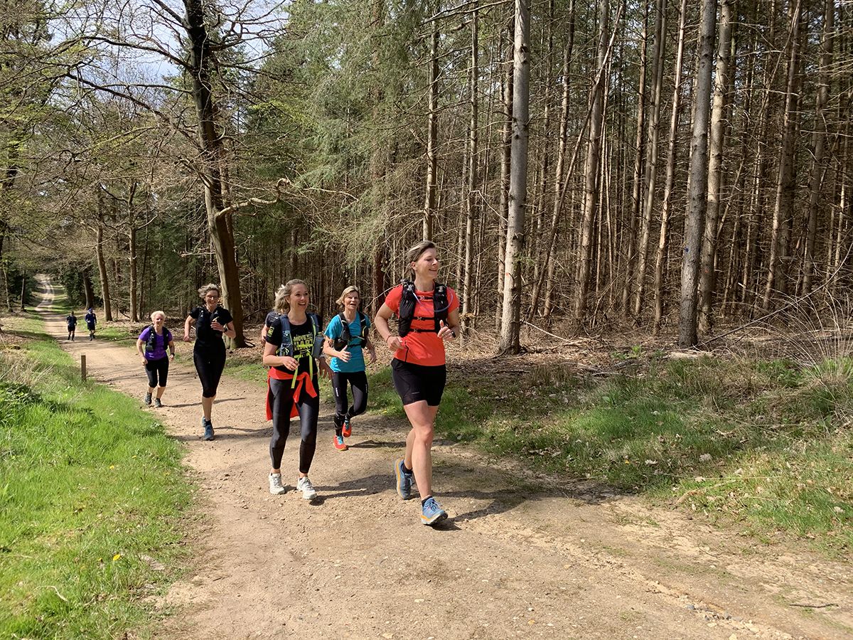 Trail Malden - foto Trailrunnen.nl.jpg