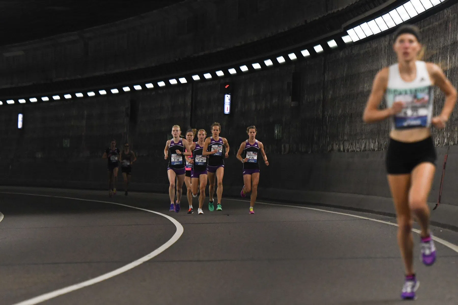 damtotdamloop-alles-over-2019.JPG