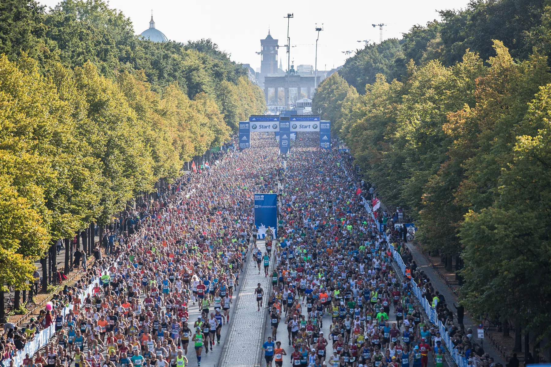 berlijn-marathon.jpg