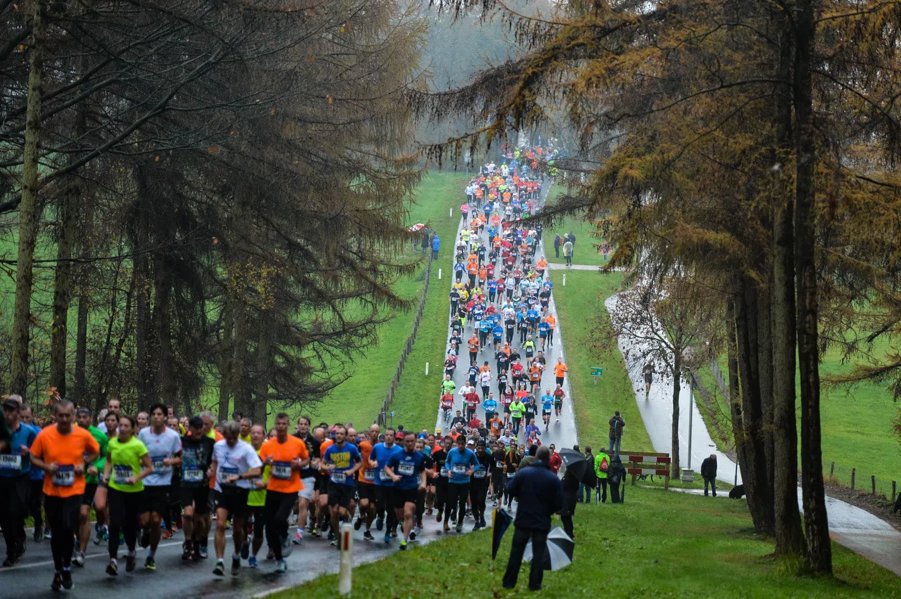zevenheuvelenloop-groep-hardlopers.jpg