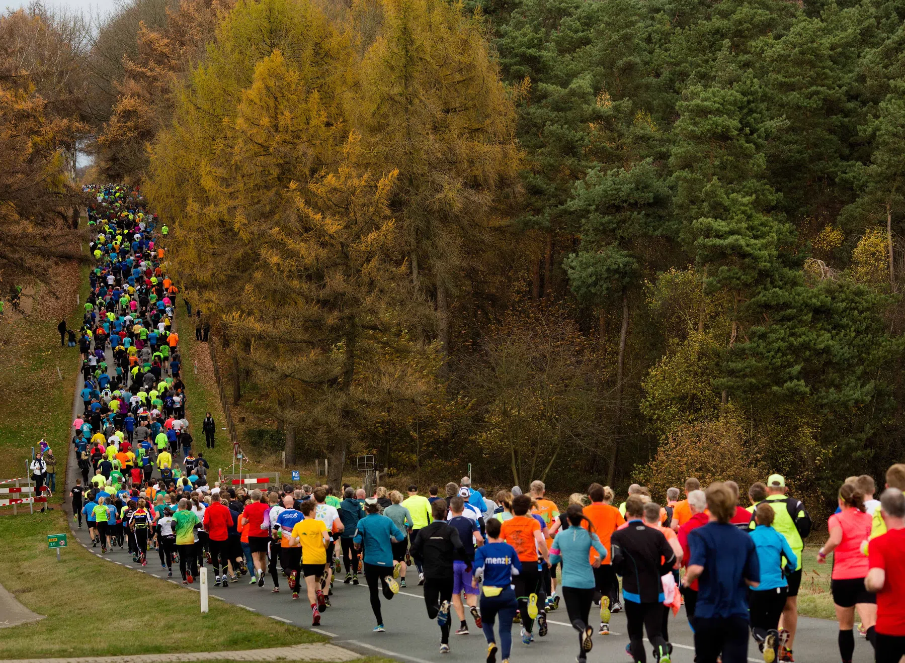 Zevenheuvelenloop-7.jpg