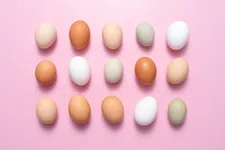 Thumbnail for article: Aha! Dít is het verschil tussen bruine en witte eieren