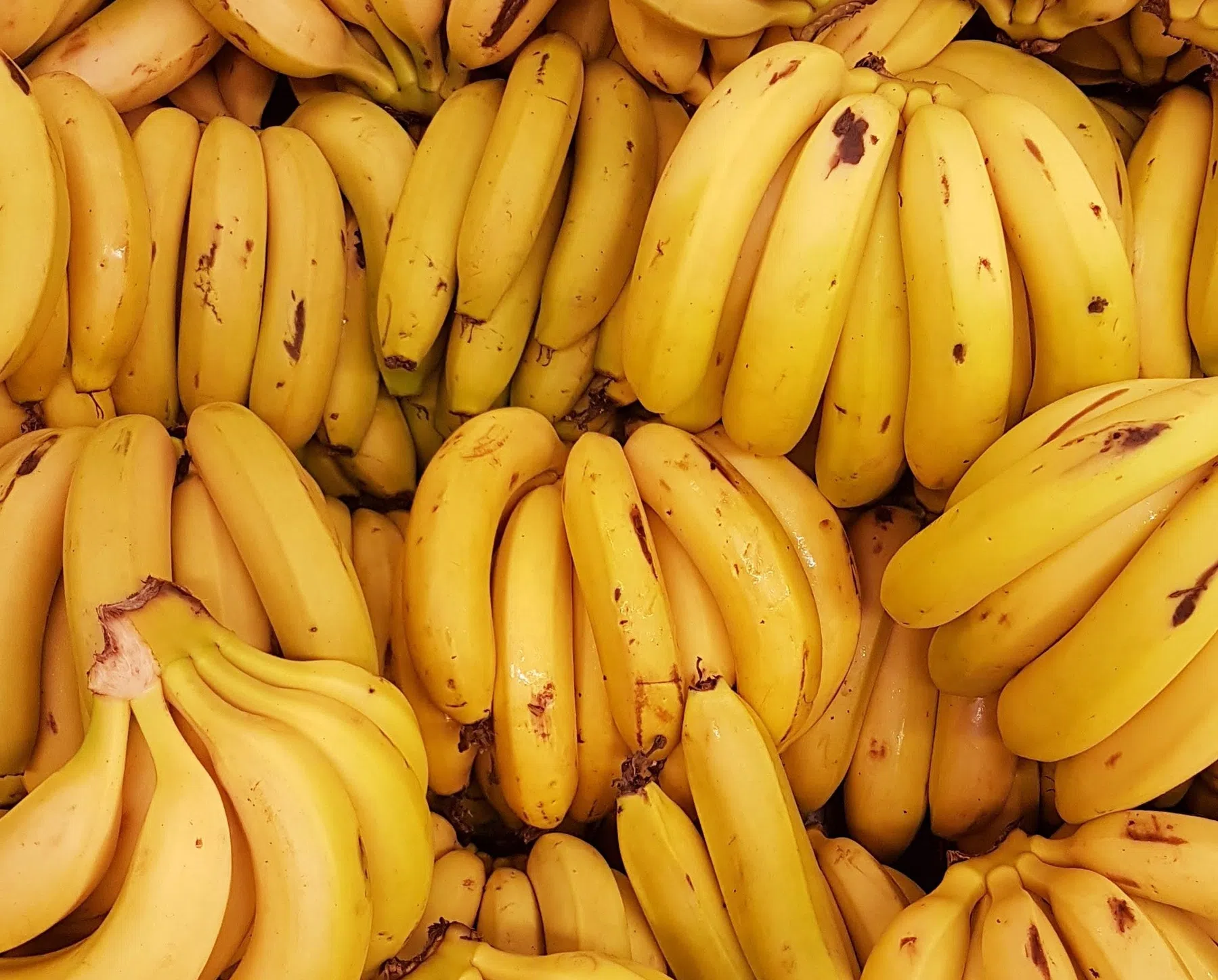 bananen.jpg