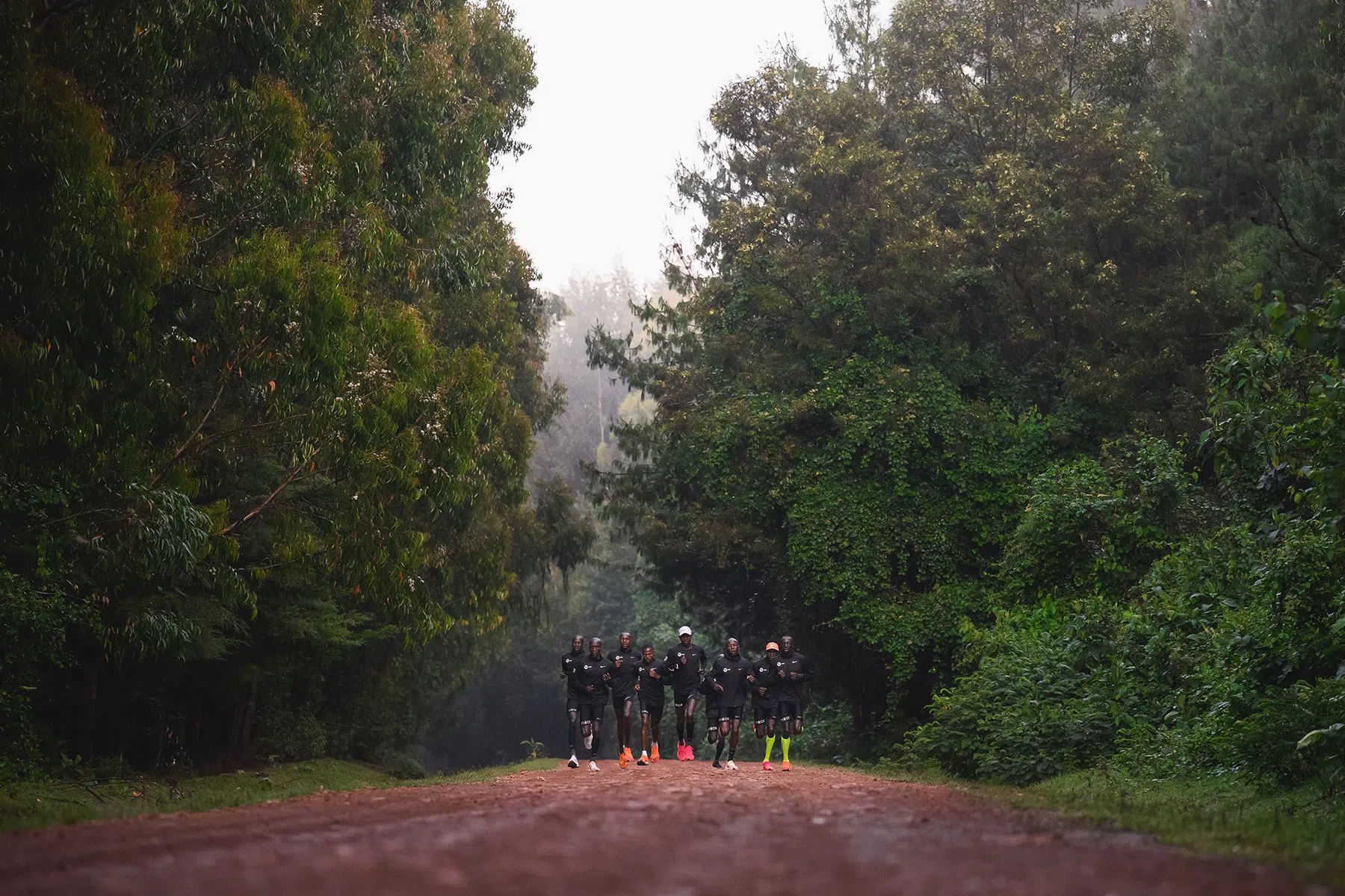 Duurloop bos.jpg