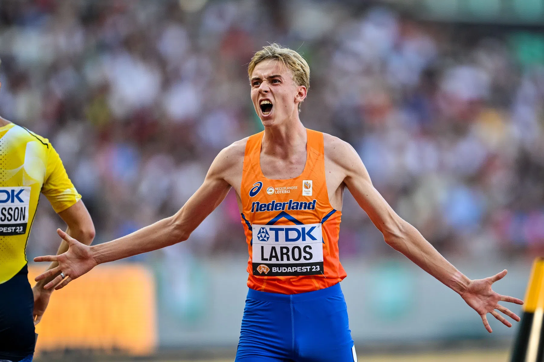niels laros