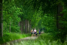 Thumbnail for article: Deze marathon past het best bij je sterrenbeeld