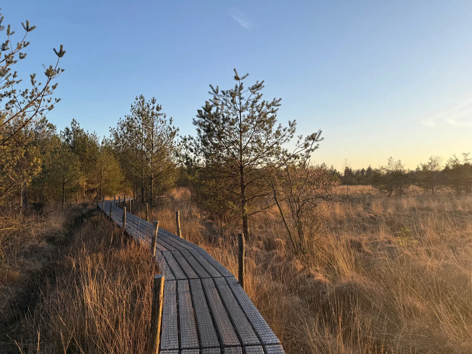 Route van Roots, Langste natuurpad van Nederland