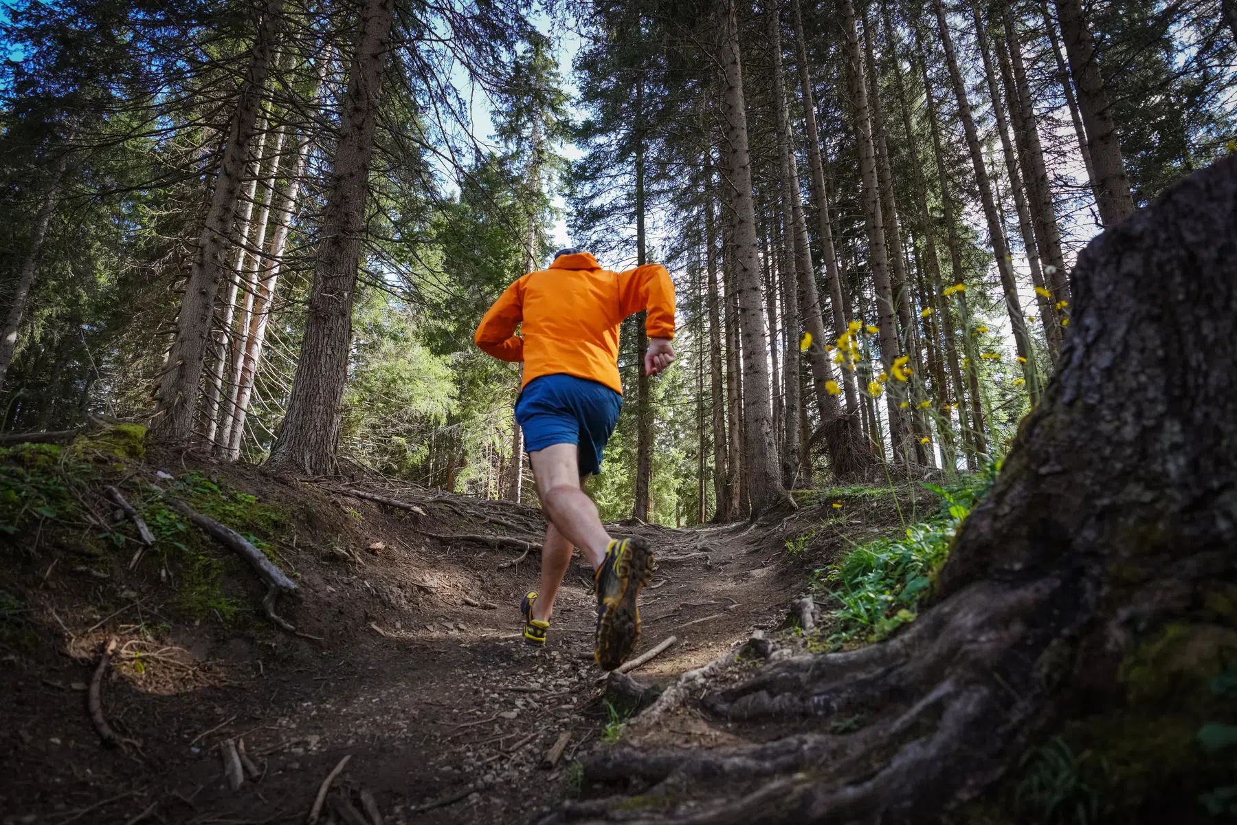 10 veiligheidsregels bij trailrunning