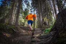 Thumbnail for article: Veilig trailrunnen: de 10 belangrijkste regels op een rij