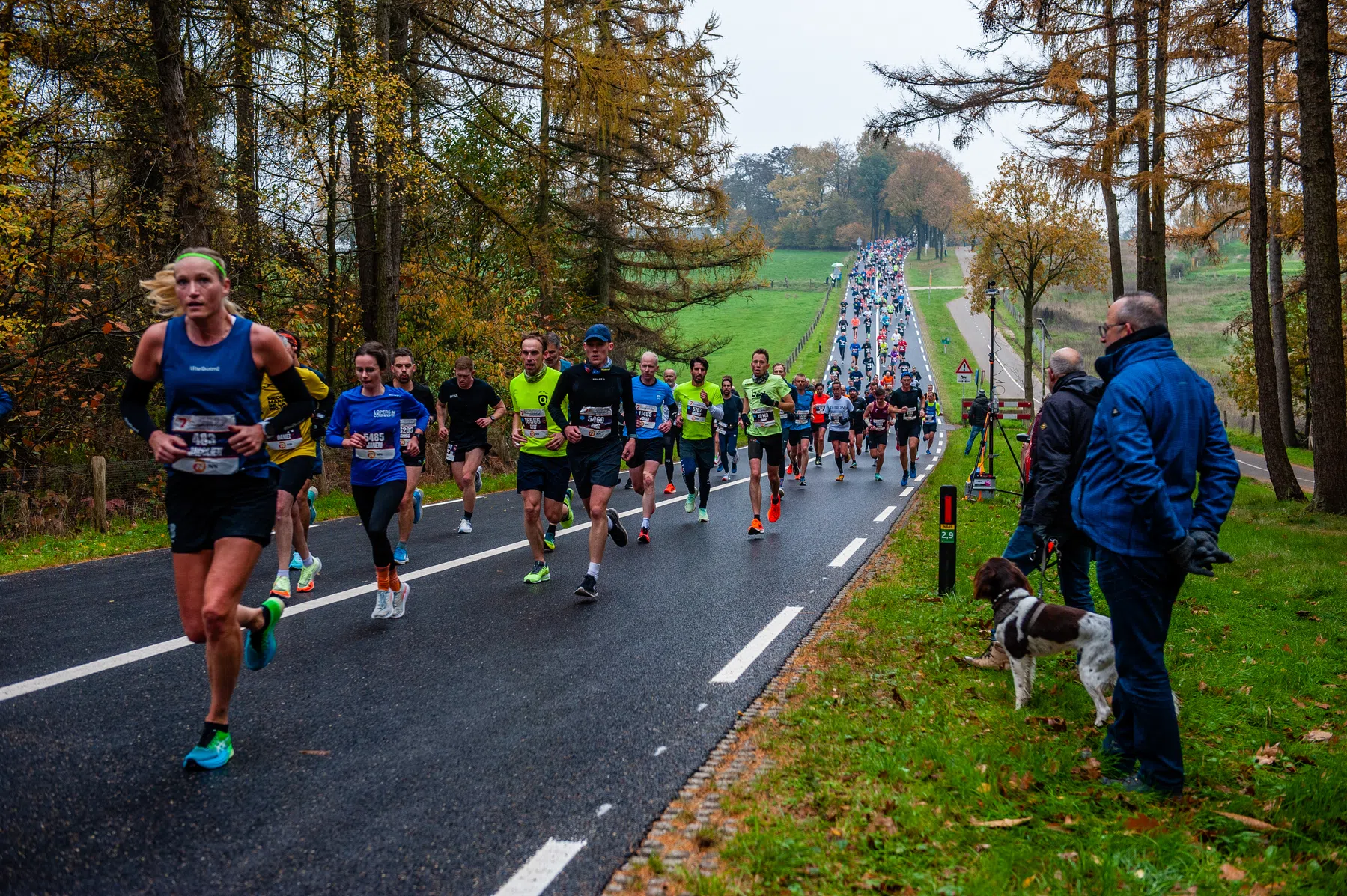 Alles over de NN Zevenheuvelenloop 2025