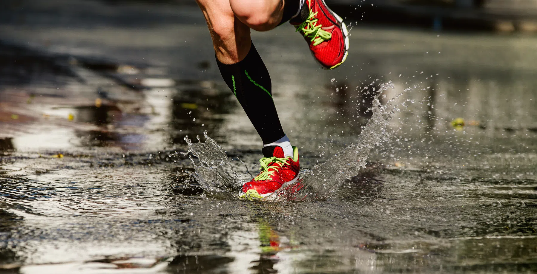 5x de beste waterdichte hardloopschoenen