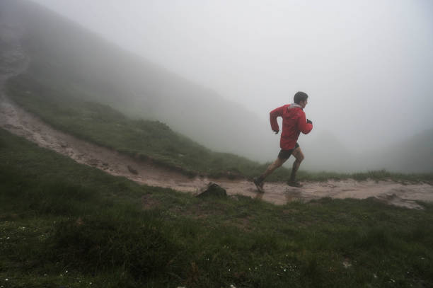 Getty Images 