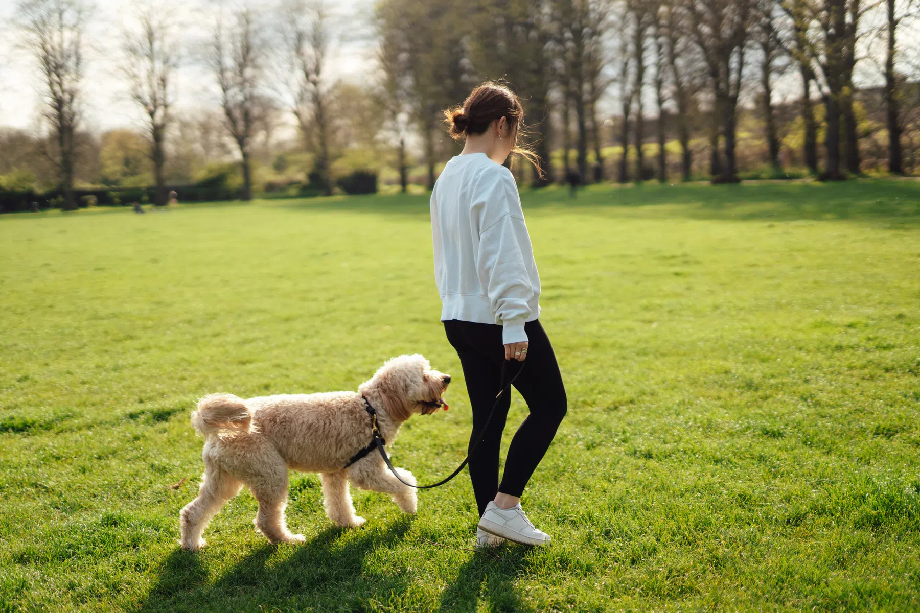 Is krachttraining en wandelen een goede combinatie om fit te worden?