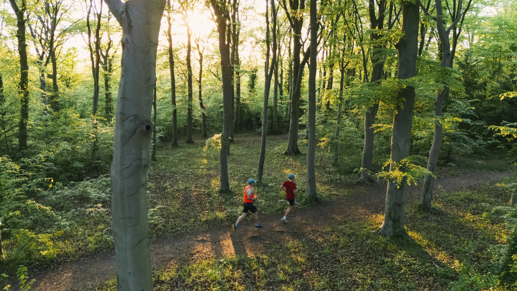Trailrunning is geen niche meer: helft lopers liep al eens een trail