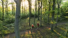 Thumbnail for article: Trailrunning is geen niche meer: helft lopers heeft al eens een trail gelopen