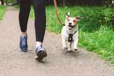 Thumbnail for article: Is 3 km wandelen per dag genoeg om conditie op te bouwen?