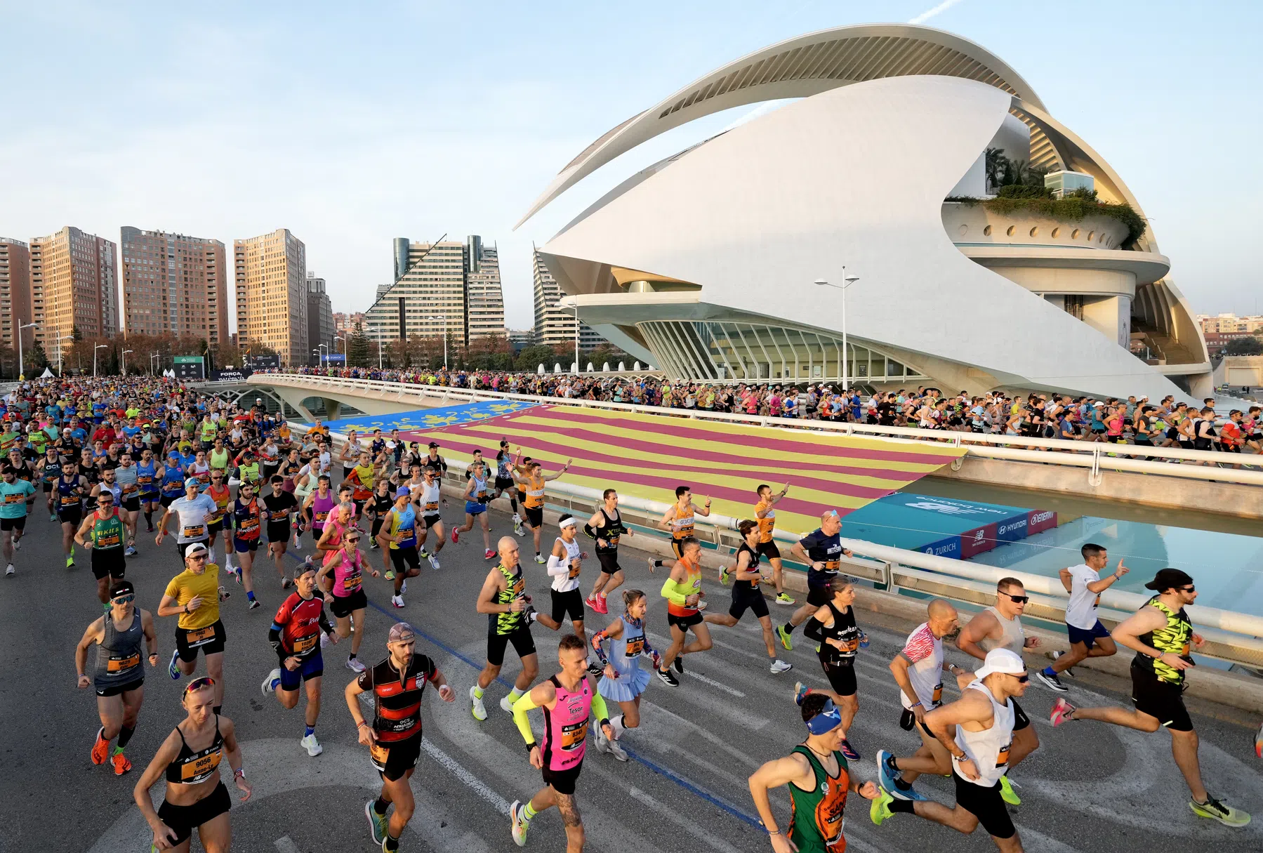 Alles over de Valencia Marathon 2026: parcours, eliteveld en inschrijving