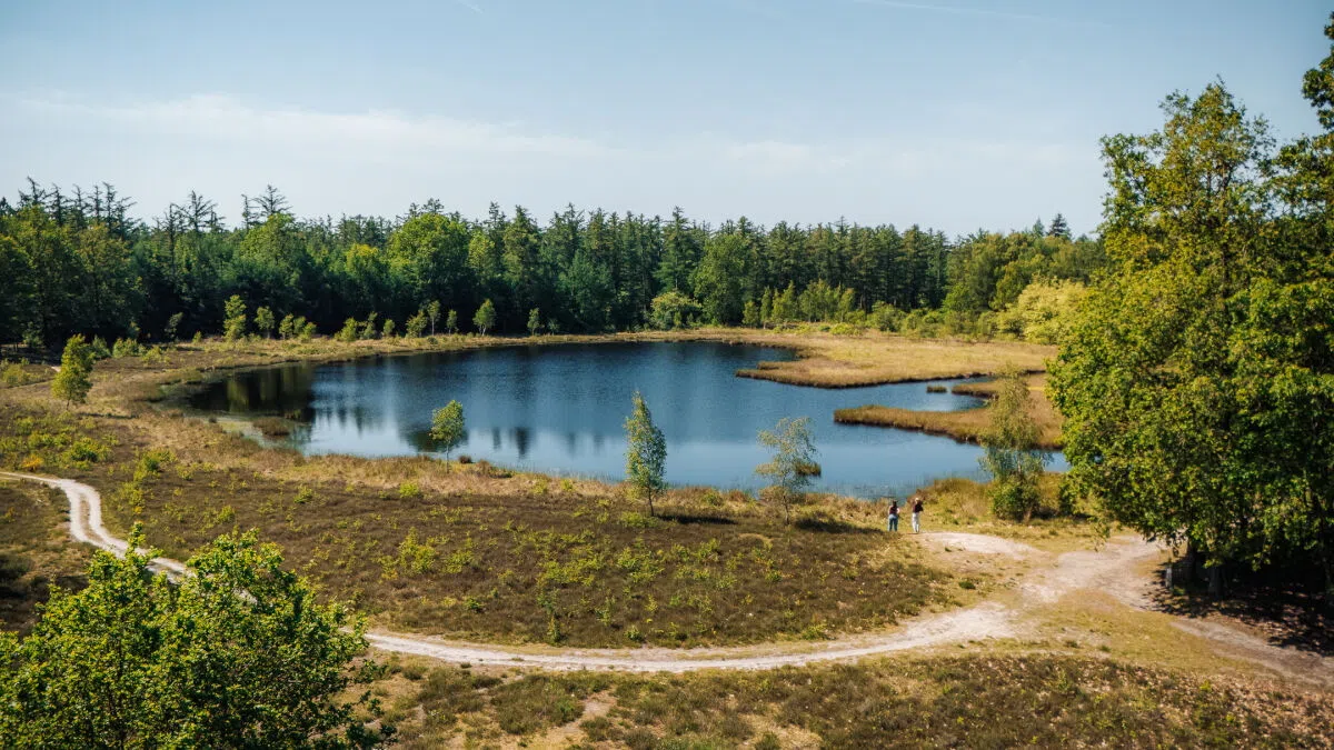 Marketing Drenthe