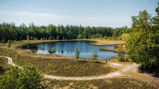 Thumbnail for article: Even helemaal buiten bereik: dit doet wandelen in de natuur met je