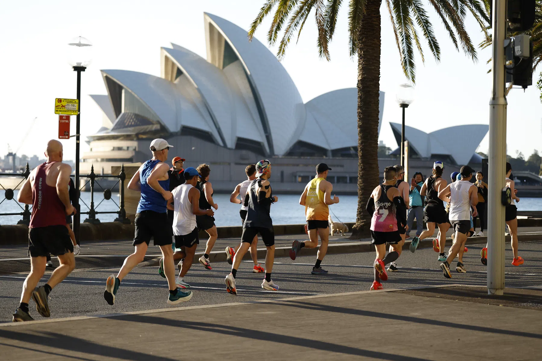 Alles over de Sydney Marathon 2026: live kijken, parcours en favorieten